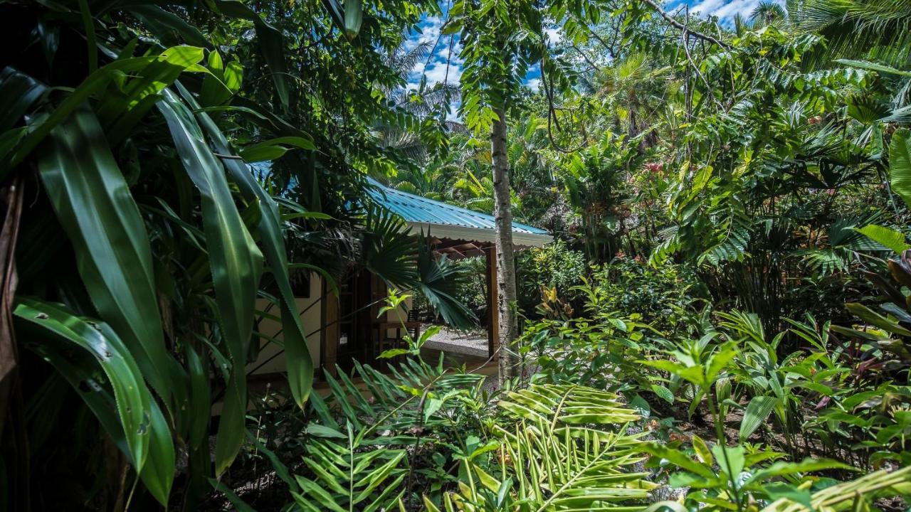 Hotel El Pequeno Gecko Verde Самара Экстерьер фото