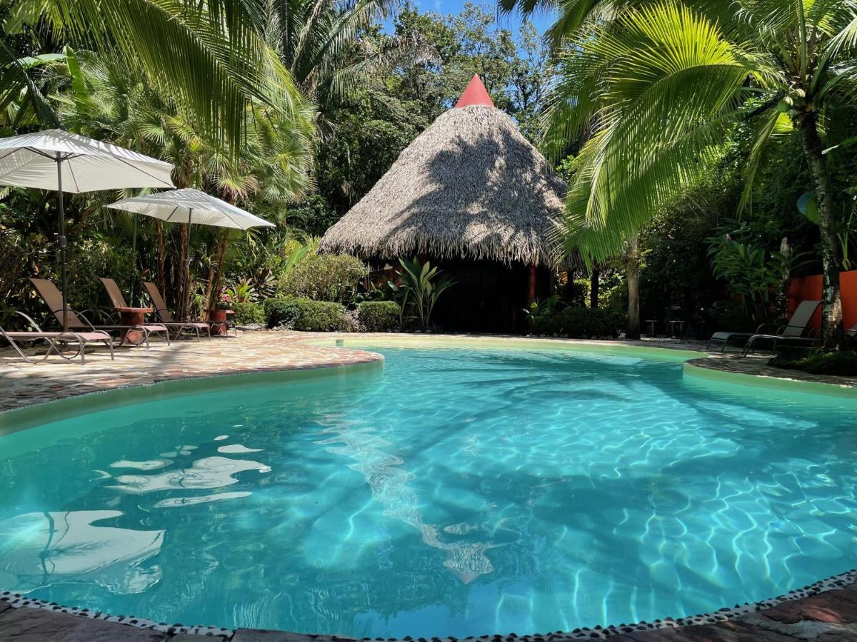 Hotel El Pequeno Gecko Verde Самара Экстерьер фото