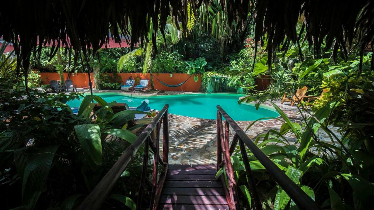 Hotel El Pequeno Gecko Verde Самара Экстерьер фото